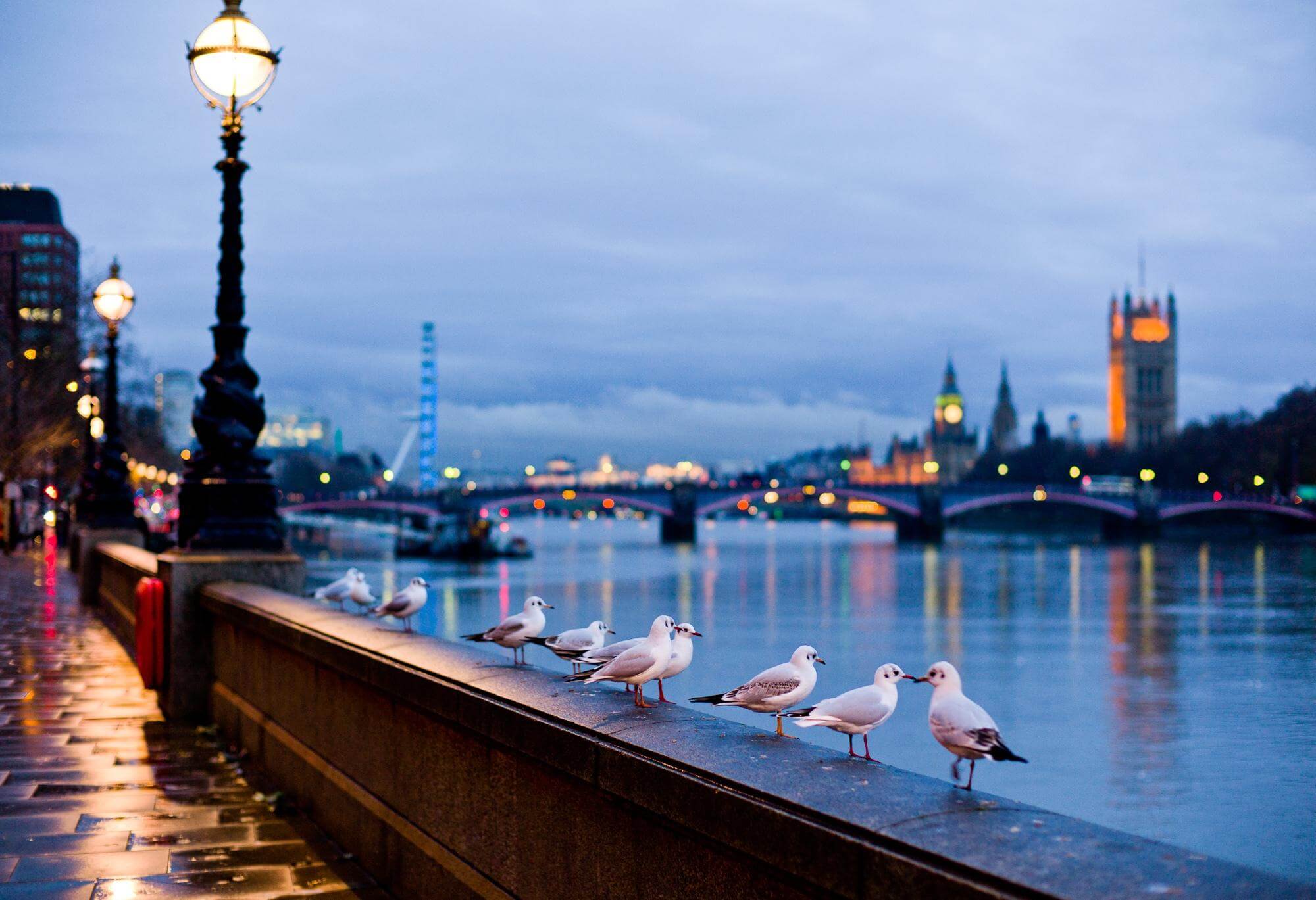 Cheap Brighton Taxis Brighton Cabs Quotes Compapre Online